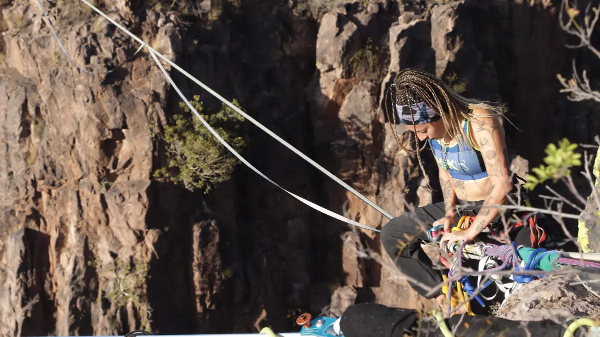 Contracultura, higline