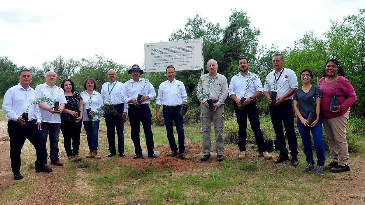 Conservación CFE Cedes