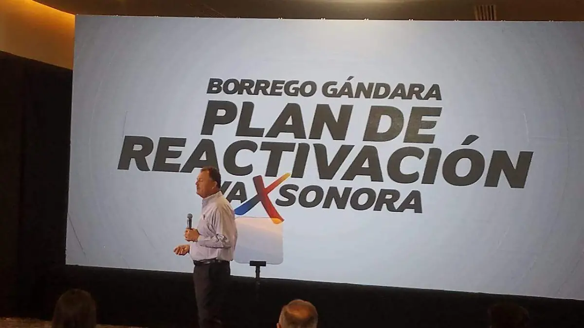 Ernesto-Gándara-Plan-de-reactivación-económica4
