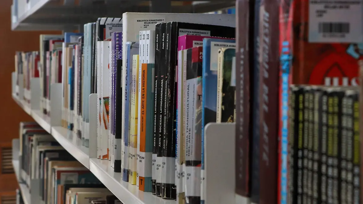 Biblioteca pública, libros