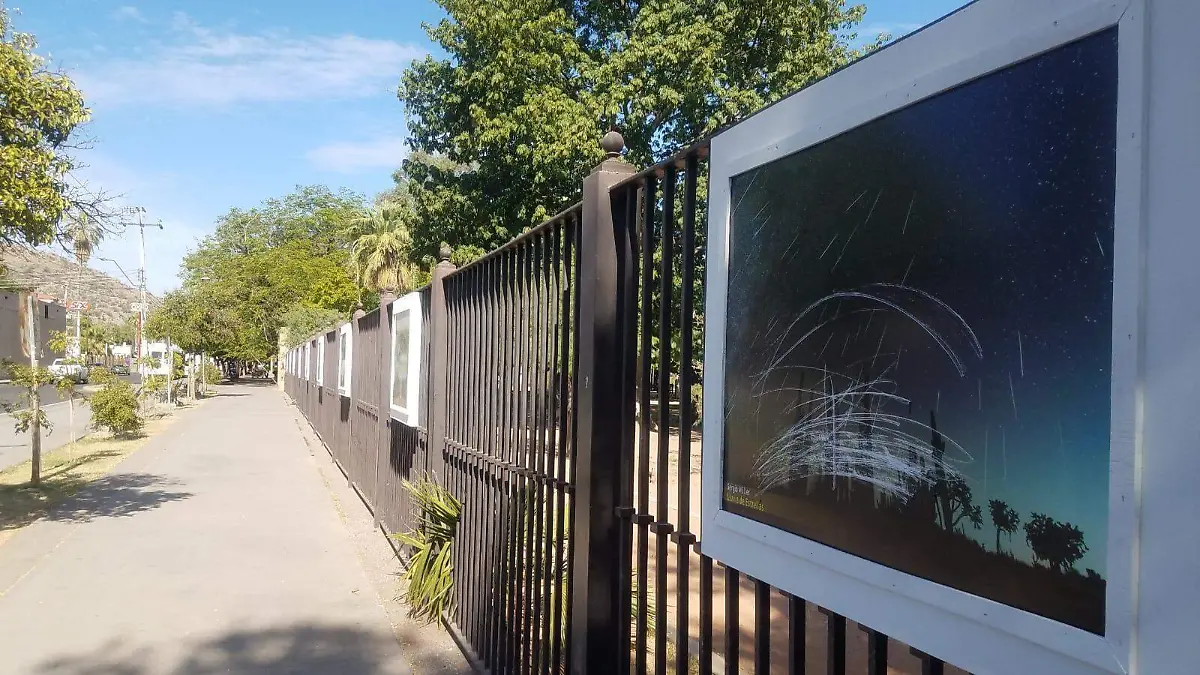 WhatsApp Image 2021-05-26 at 4.03.43 PM