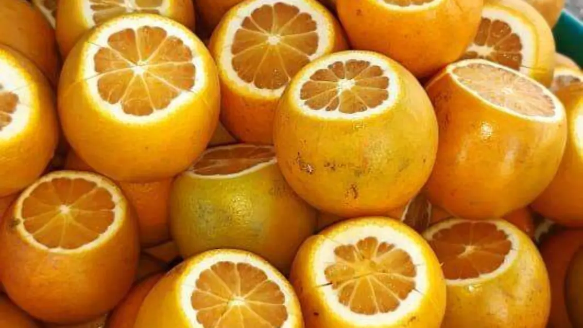 venta de naranjas 