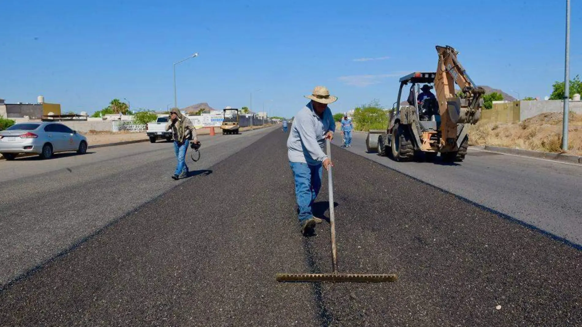 Baches