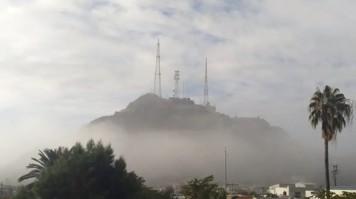 Frio 44