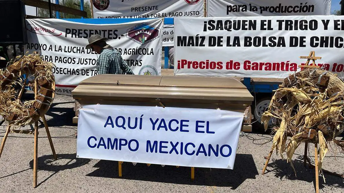 Manifestación de Productores de trigo