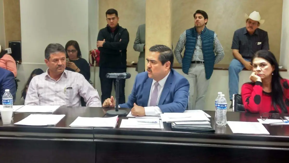 diputadosss