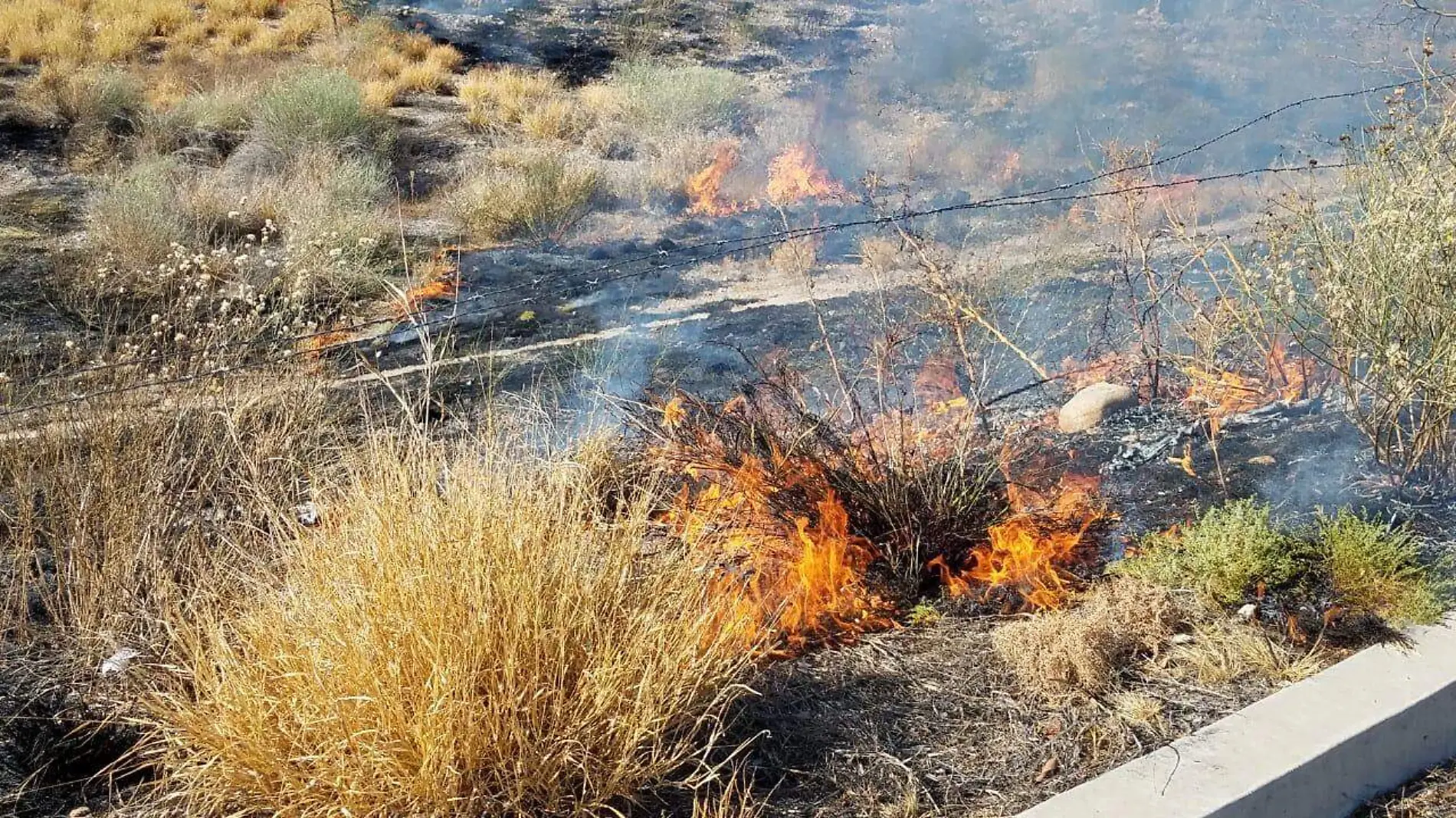 maleza incendio fuego