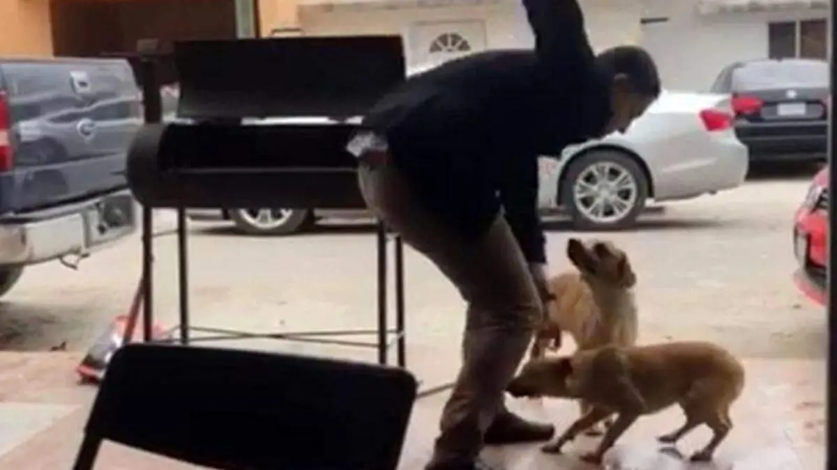 Asesinato perro