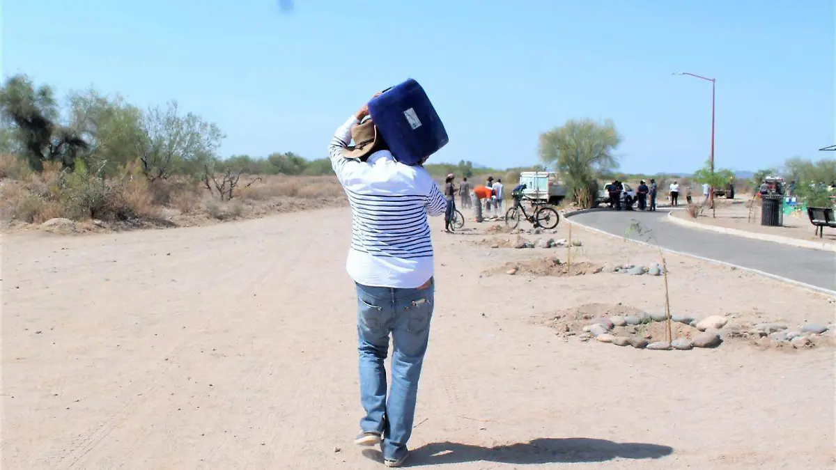 Reforestación-Ecoparque-Río-Sonora
