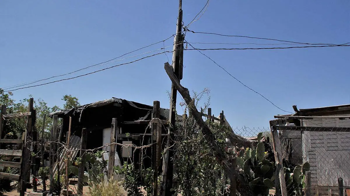 Invasión-Tres-Reinas-luz -cfe-diablitos(11)