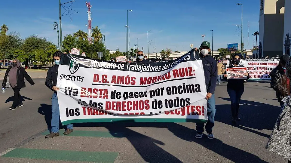 maestros de Cecyte (4)