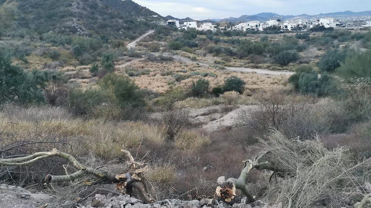 cerro del bachoco 6