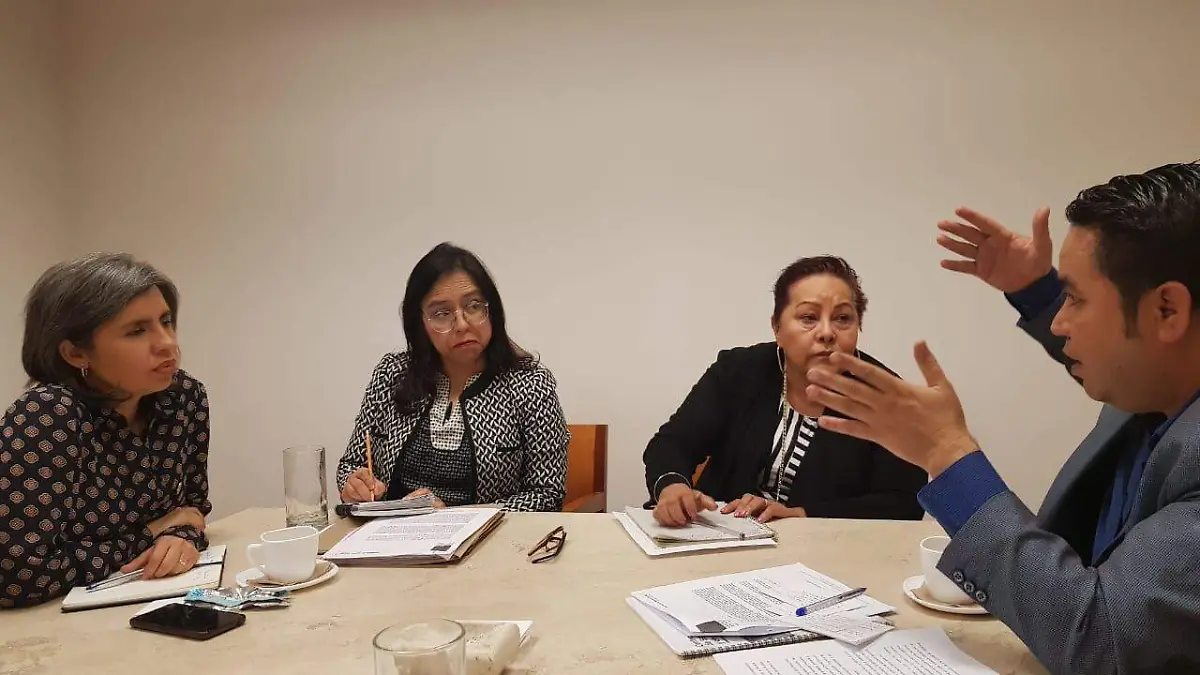 Diputados federales