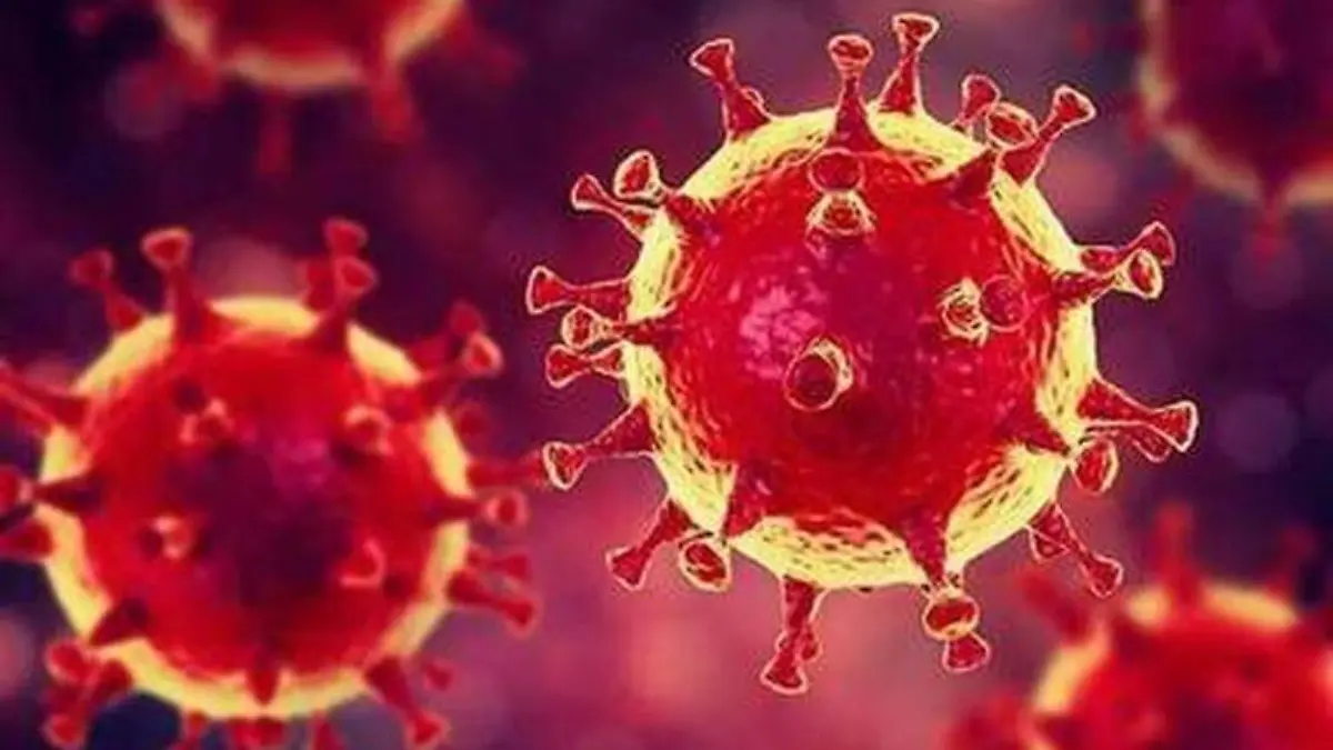 Coronavirus