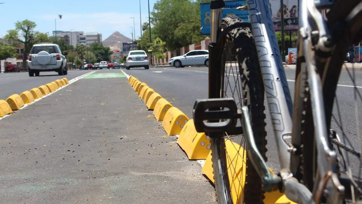 Confibicis Rosales
