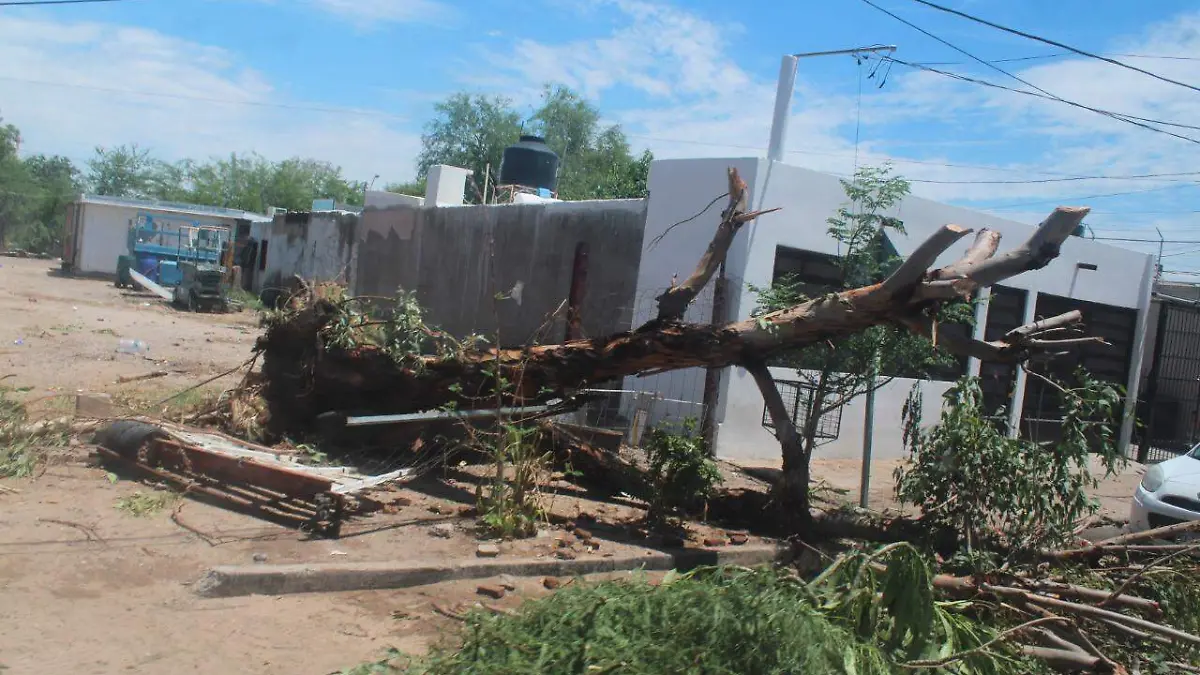 afectaciones por lluvias 