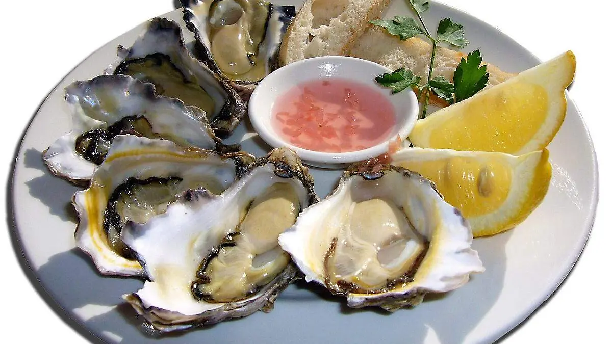 ostiones, mariscos en concha
