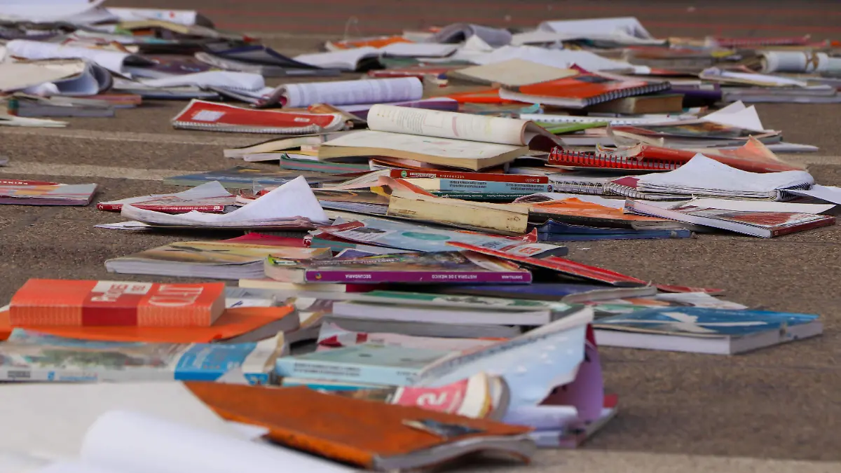 Biblioteca pública, libros
