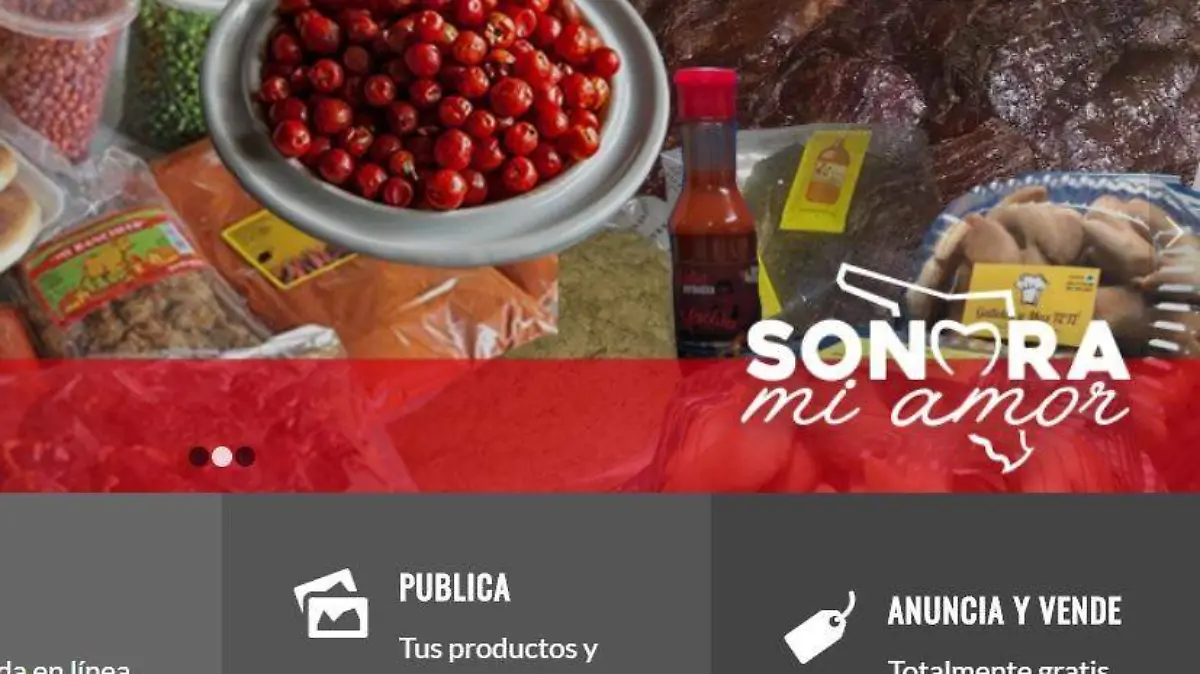 Sitio Sonora mi amor (1)