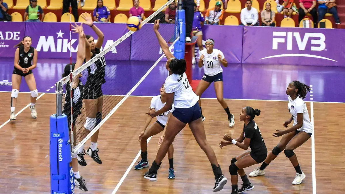 WhatsApp Image 2023-05-27 at 10.11.30