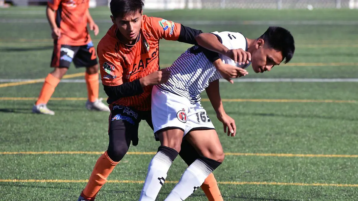 30D-Xolos-02-Xolos de Hermosillo