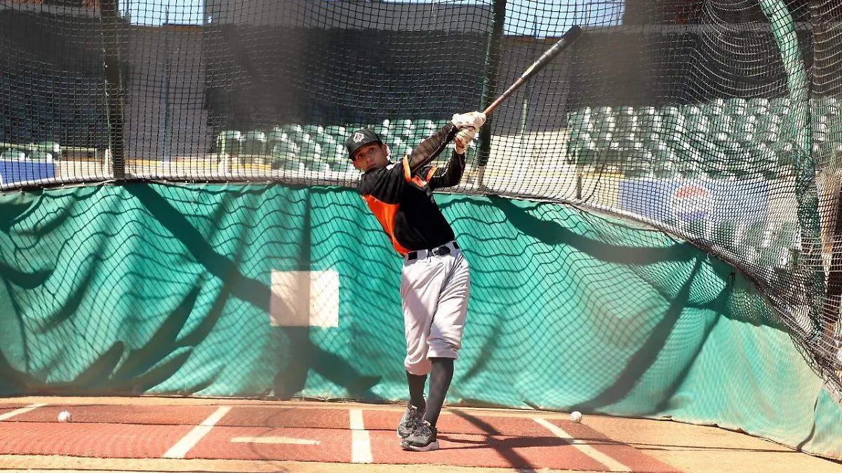 Naranjeros de Hermosillo