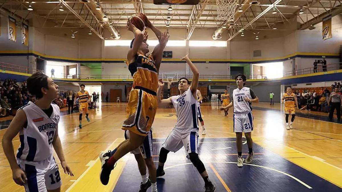 Basquetbol