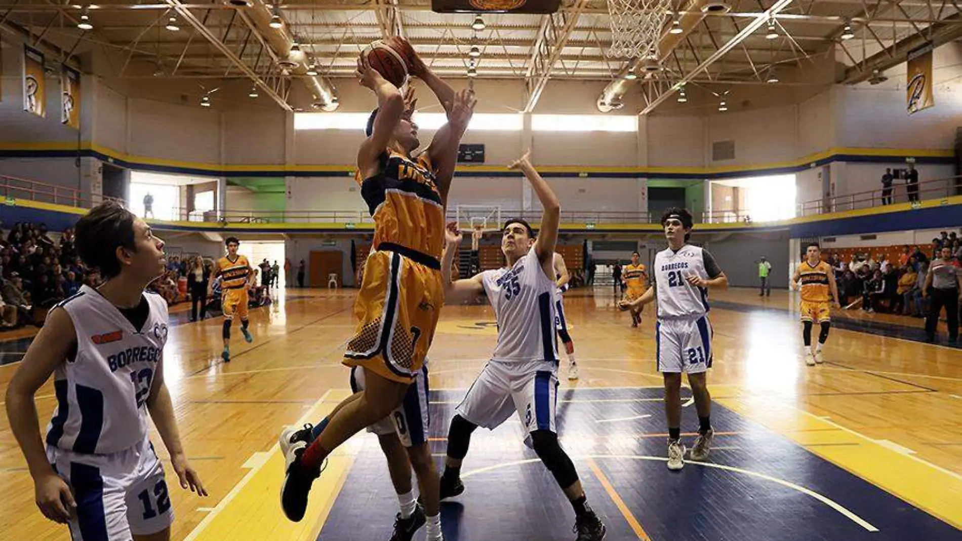 Basquetbol