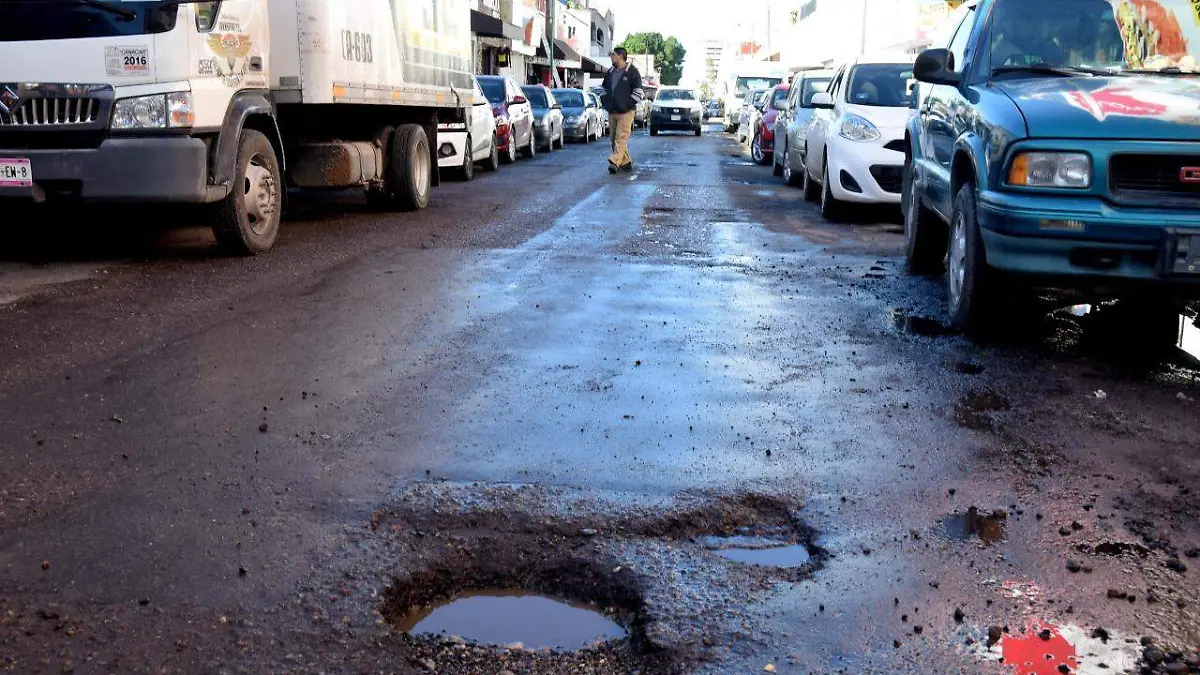 Baches 4