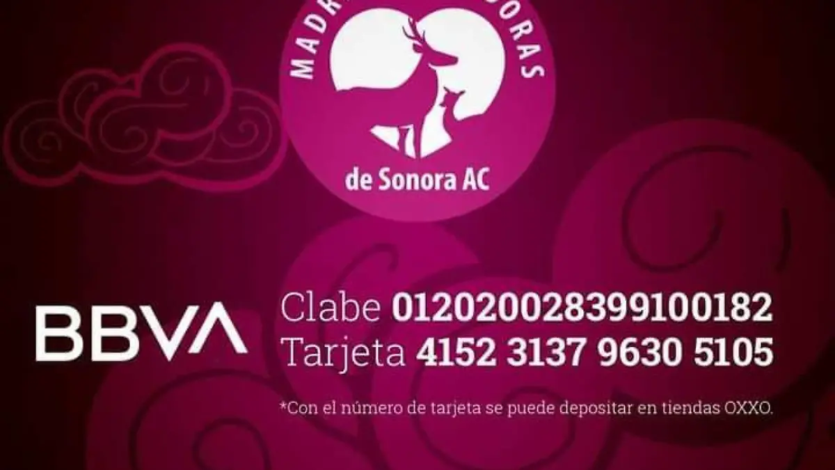 Doanciones madres buscadoras de sonora 