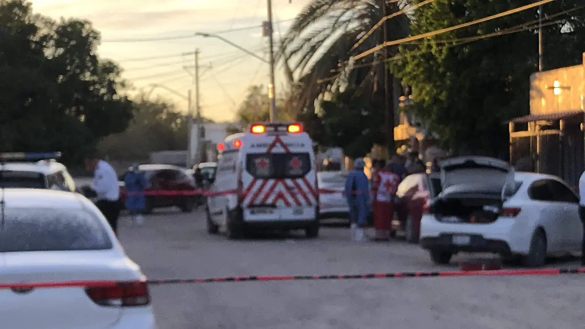 Image_20231101_172257_796 (1)