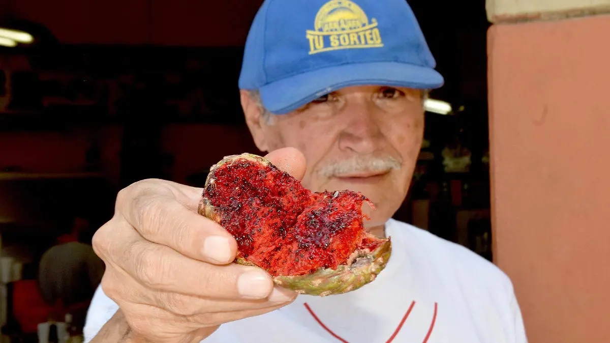 Pitahayas-Carlos VillalbaJPG (4)