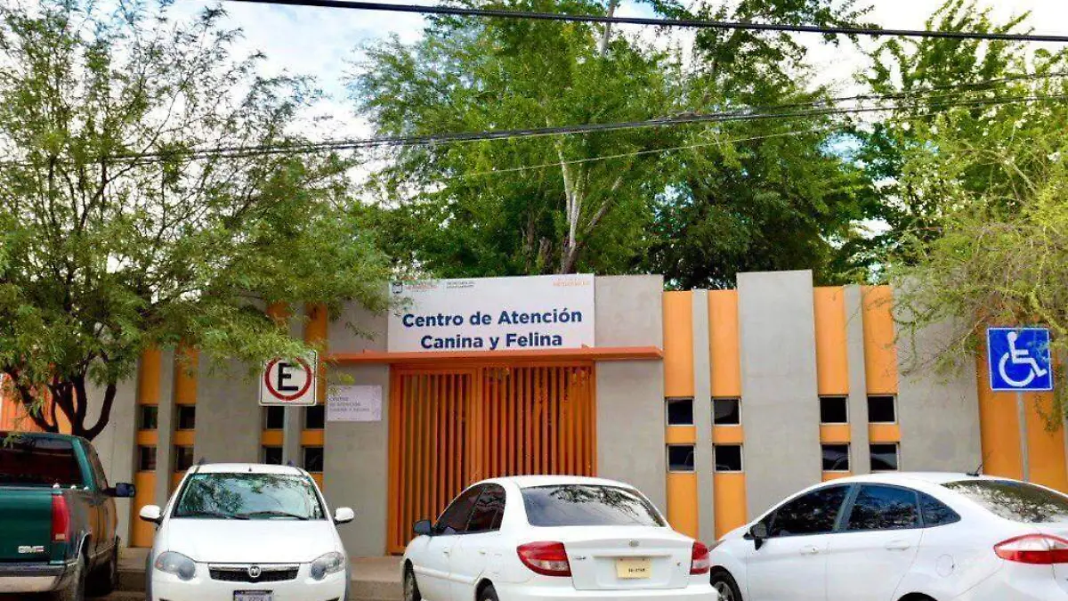 Instituto Municipal de Protección y Bienestar Animal de Hermosillo