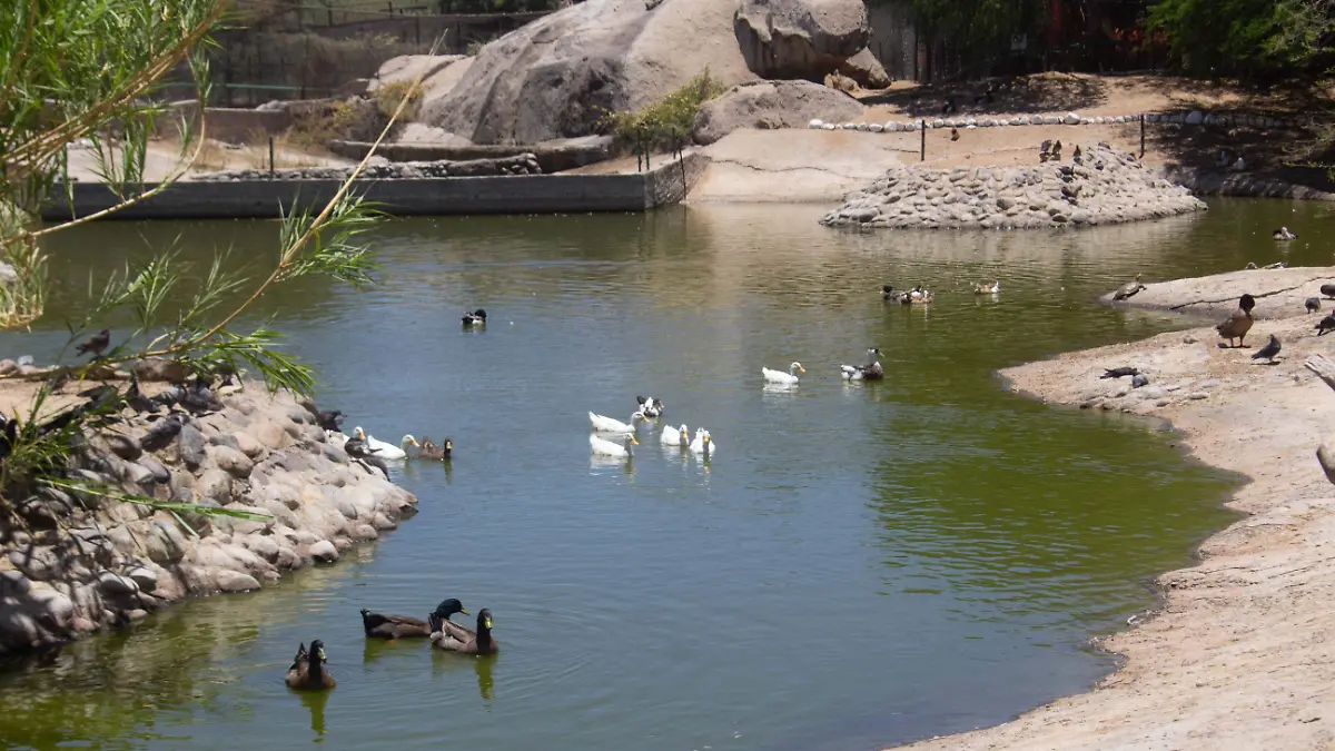 Aspectos centro ecologico de hermosillo