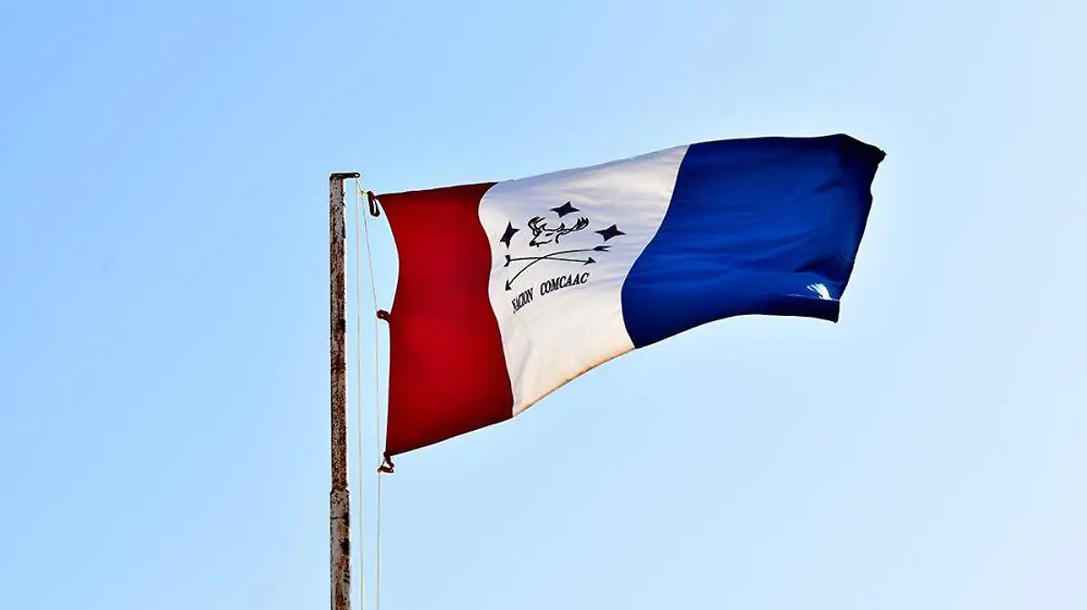 Año nuevo seri 8