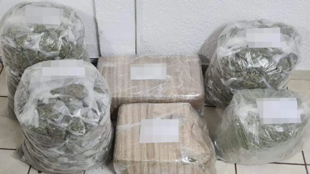 Drogas incautadas en Sonora