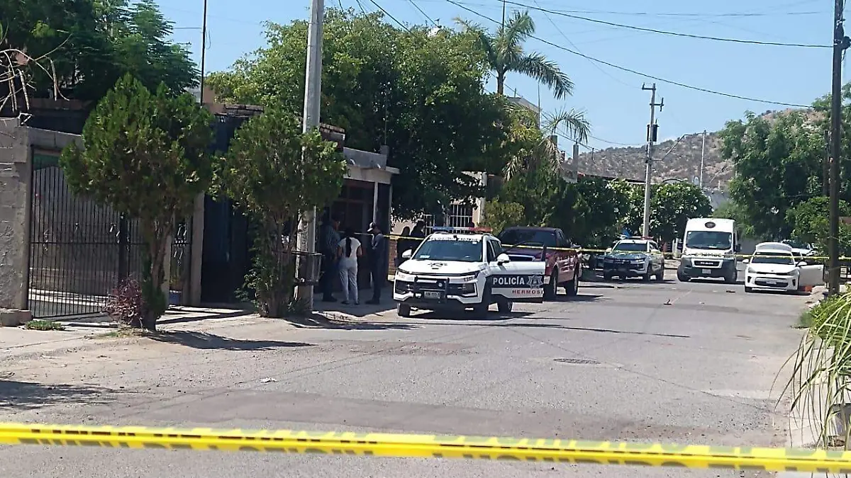 WhatsApp Image 2023-07-26 at 16.28.15