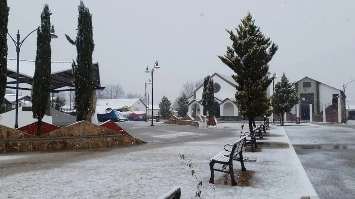 yecora nevado. adelaida valenzuela