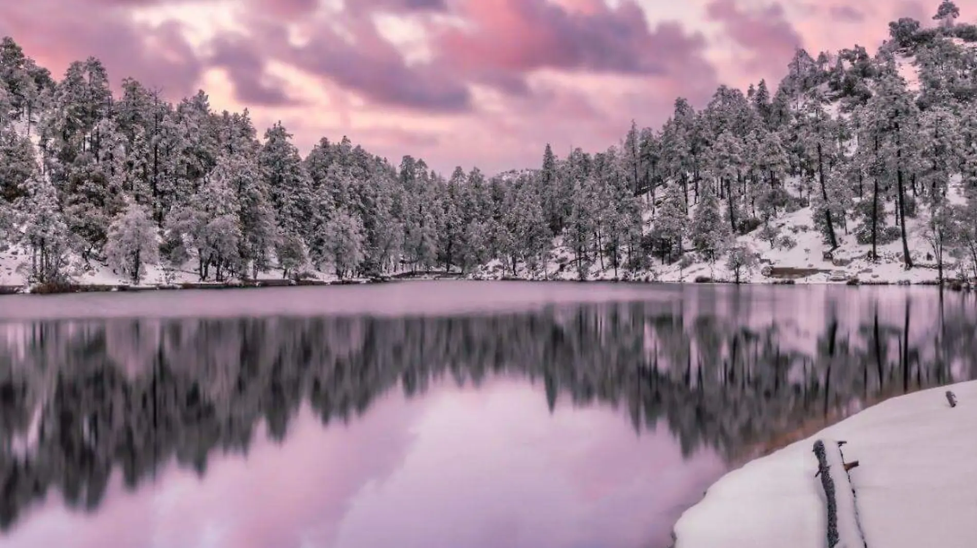 Conoce más sobre Mount Lemmon