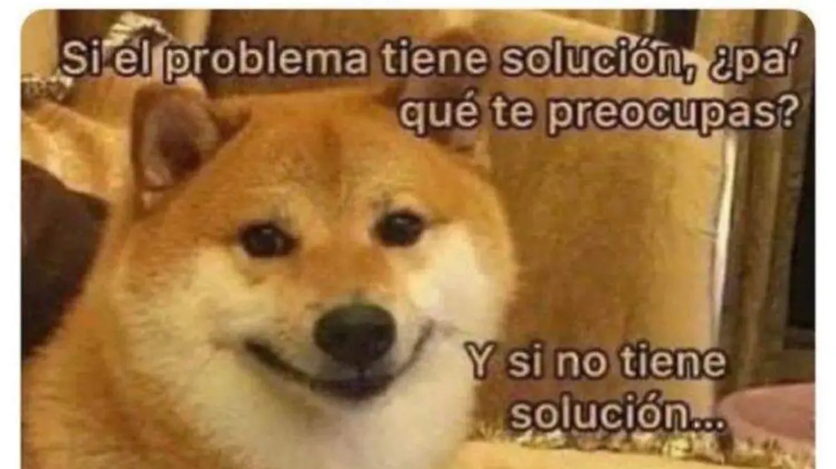 meme Alejandra Esquer