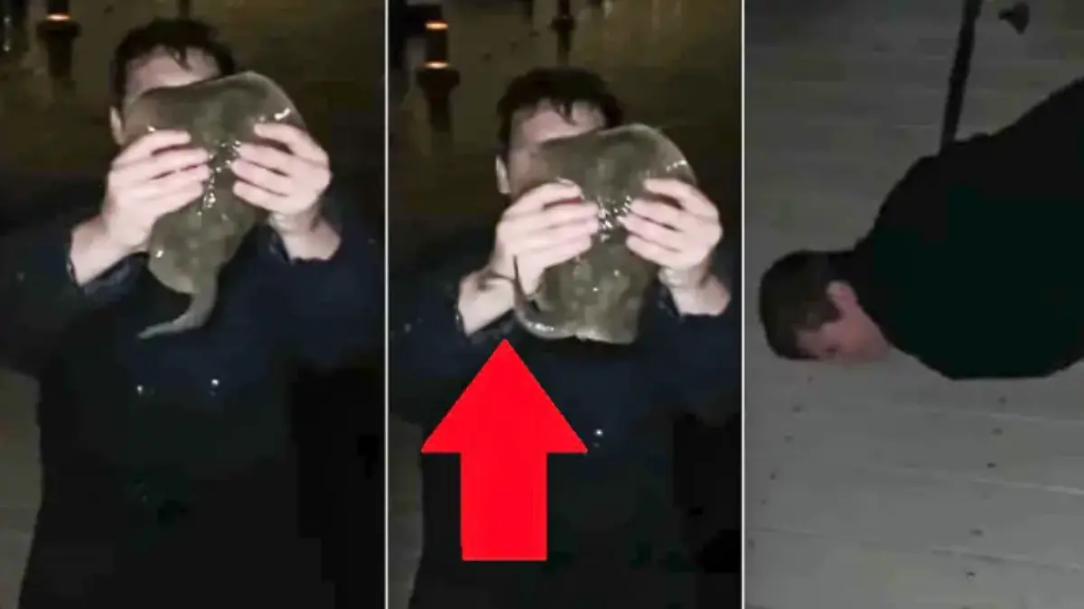 Picadura mantarraya fb