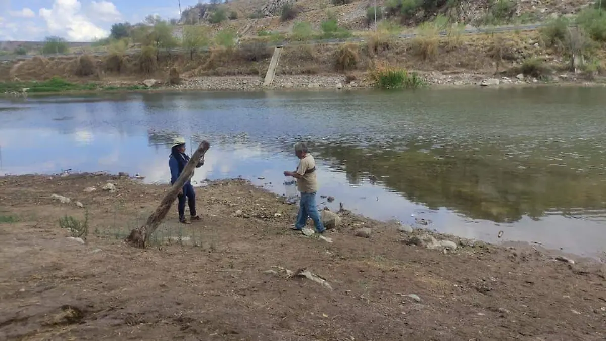 Agua en humedal 1