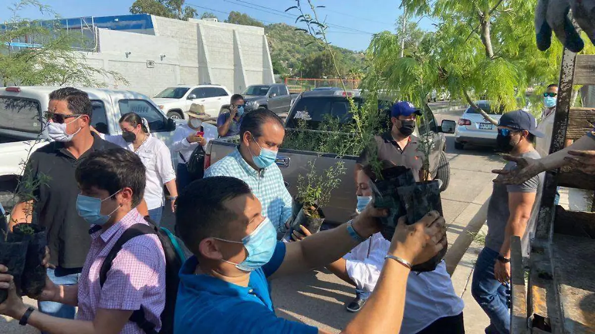 árboles-donación-grupo-méxico-reforestación 7
