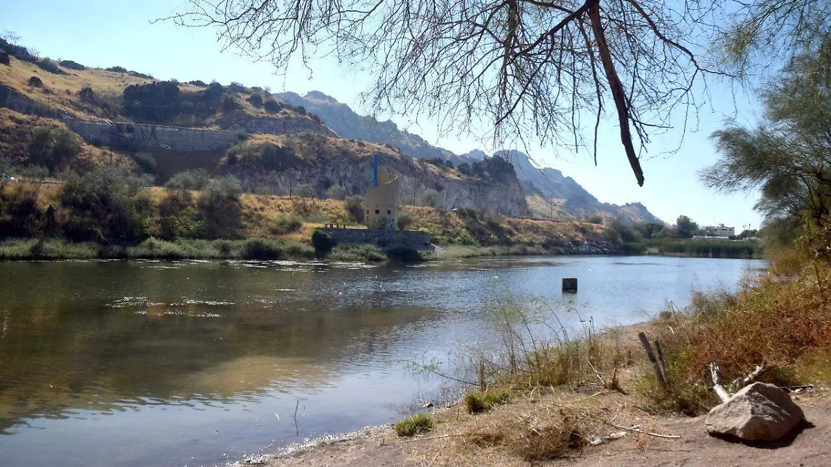 Activistas señalan que la laguna de La Sauceda enfrenta una grave situación