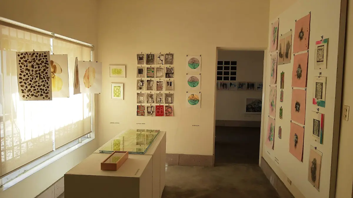 Exposición Fluorescencia _ Revelaciones desde la oscuridad 2