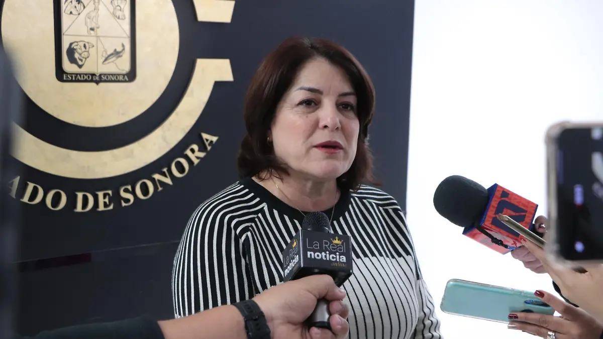 Diputada. Gabriela Danitza Felix Bojorquez