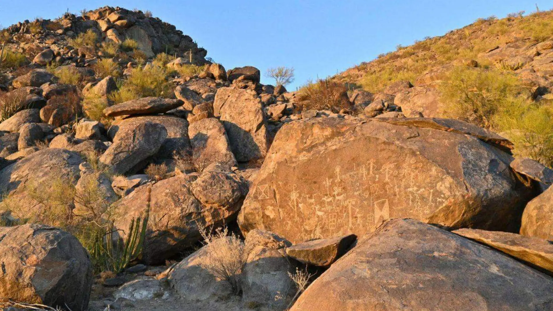 Sitio Arqueológico La Proveedora en Caborca