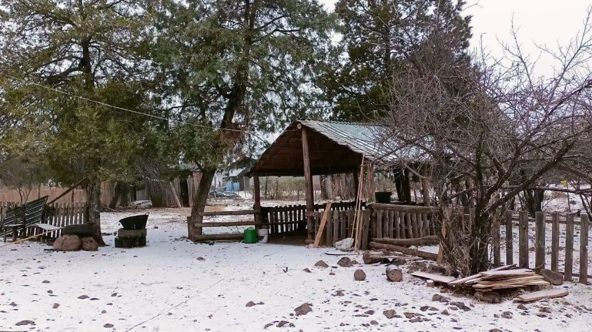 Sonora recibe su primera nevada del 2025