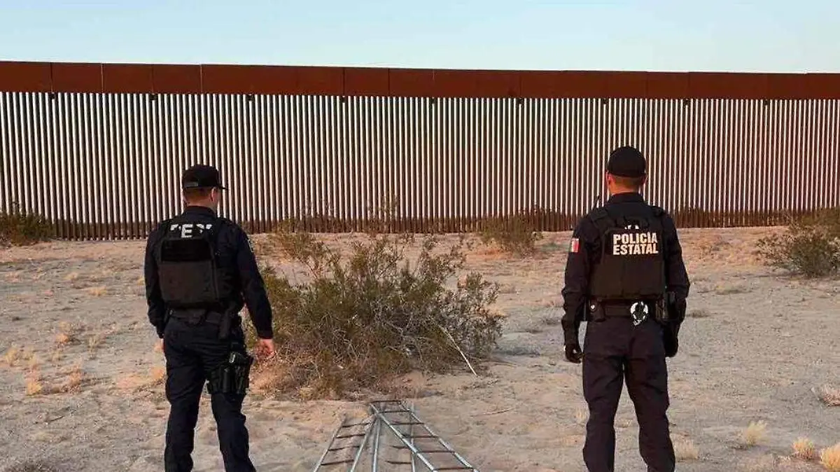 Image_20250114_211401_239