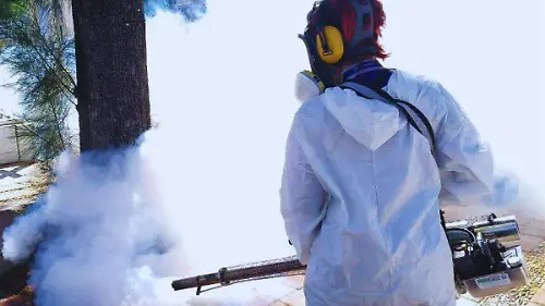 Fumigación dengue